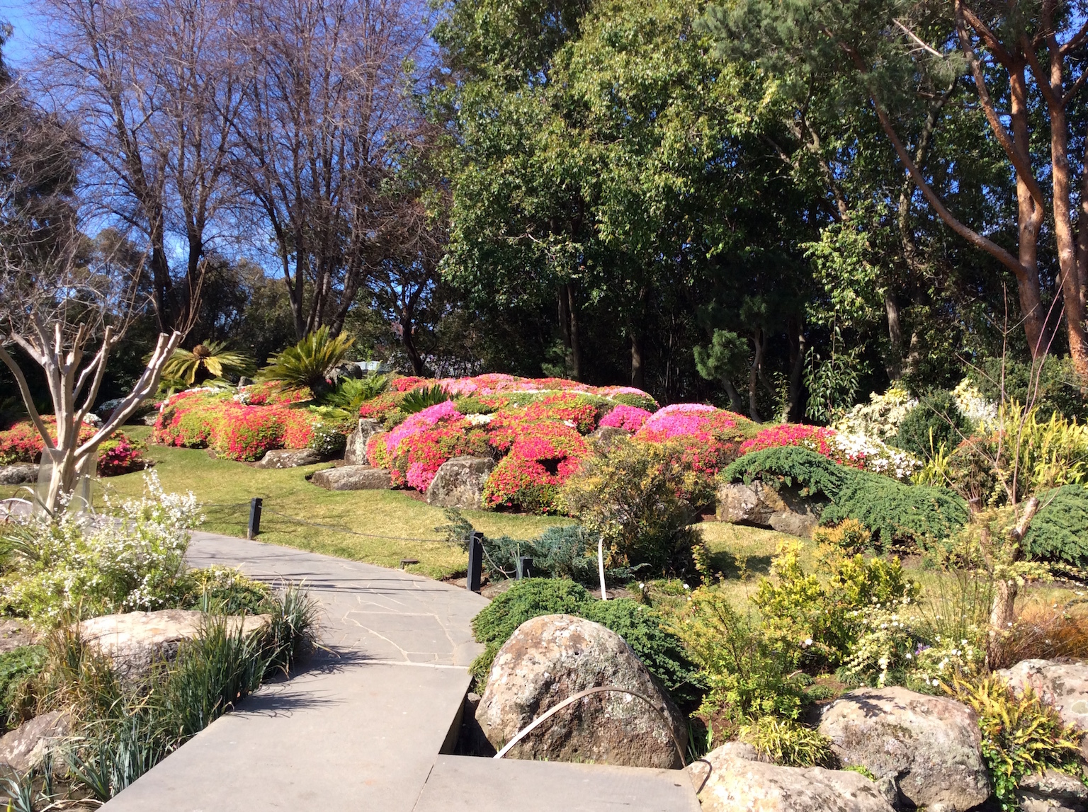 Japanese Garden at Melbourne Zoo