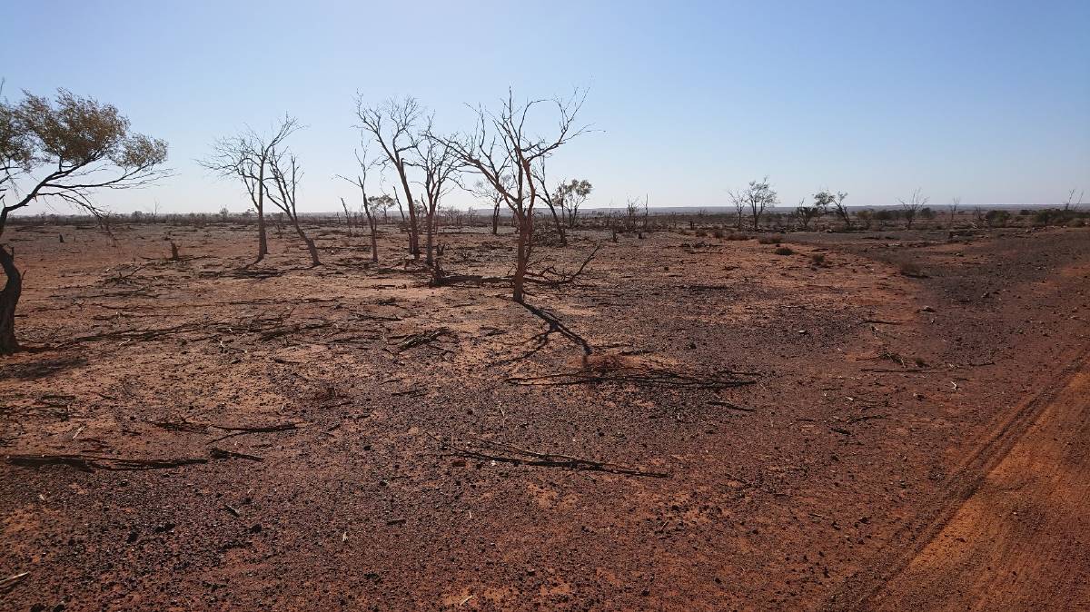 drought in rural nsw