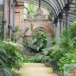 tropical-greenhouse-parc-de-la-ciutadella-25503538