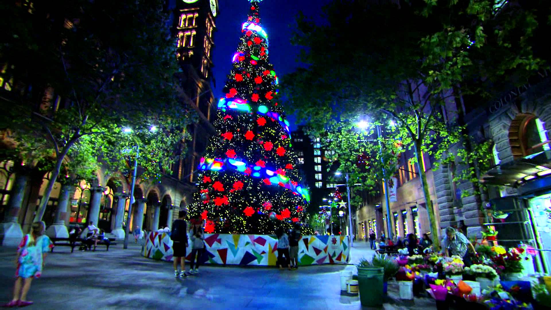 christmas trees in sydney
