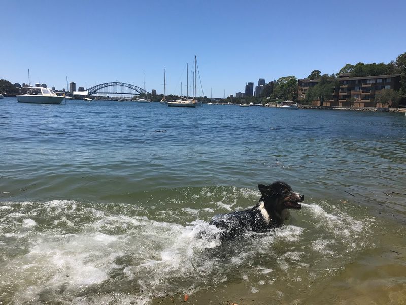 Sydney vừa trải qua ngày NÓNG NHẤT từ trước tới nay (3)