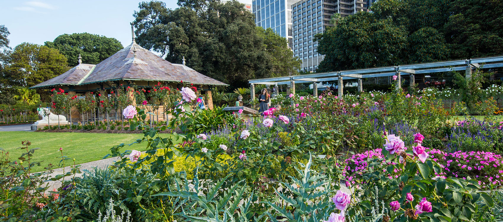 Sydney's Botanic Gardens now has free high-speed Wi-Fi