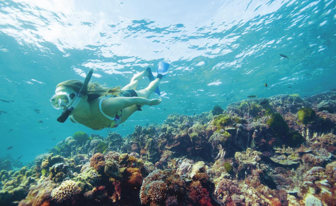 Gordon’s Bay snorkelling