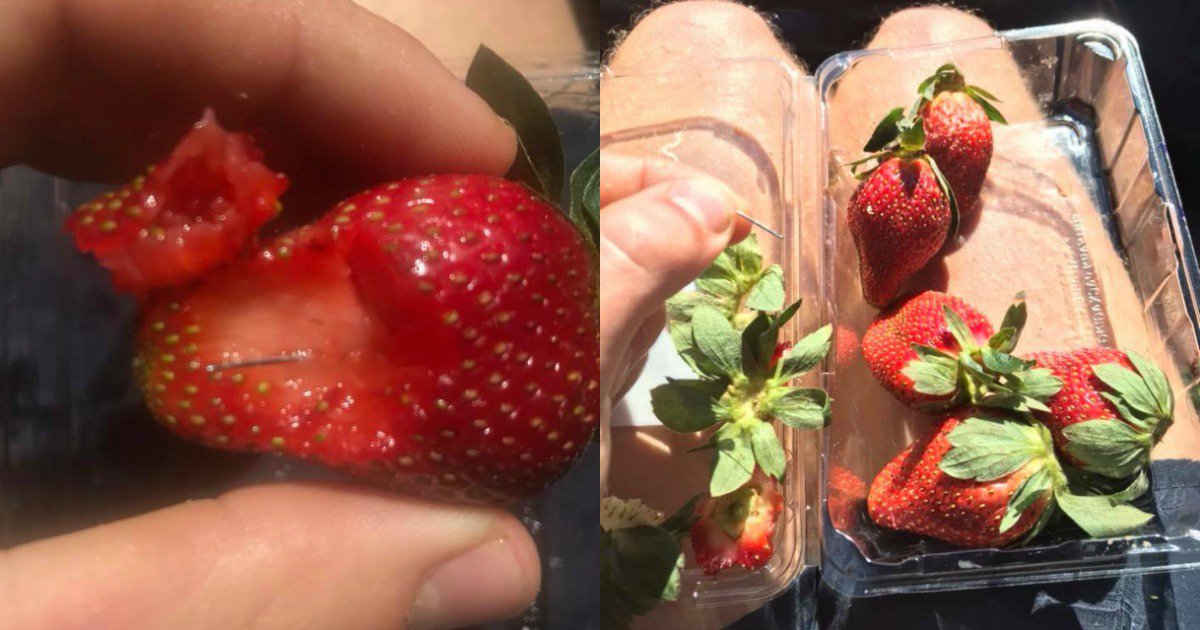 strawberry needle sabotage australia