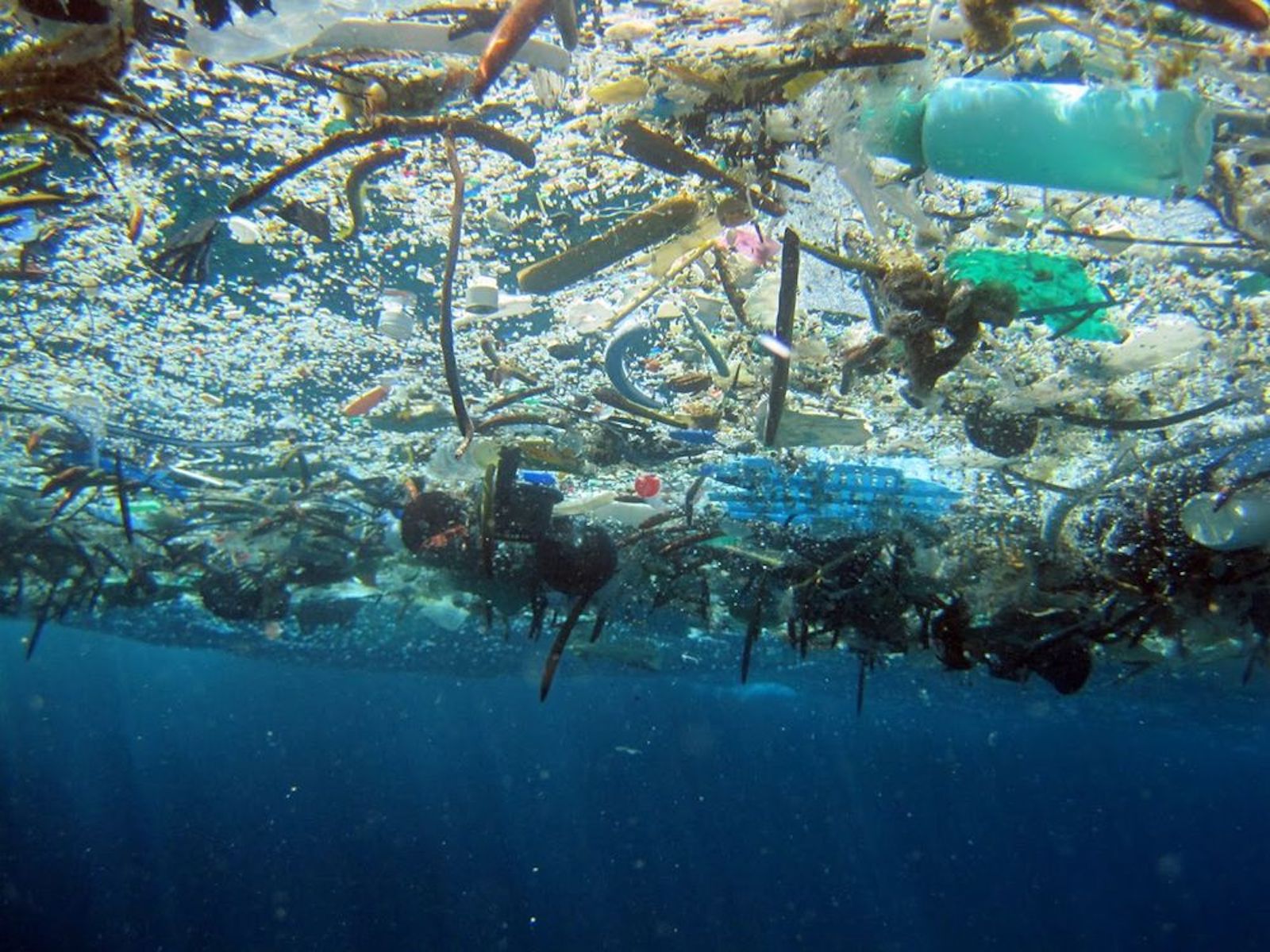 plastic straws ocean