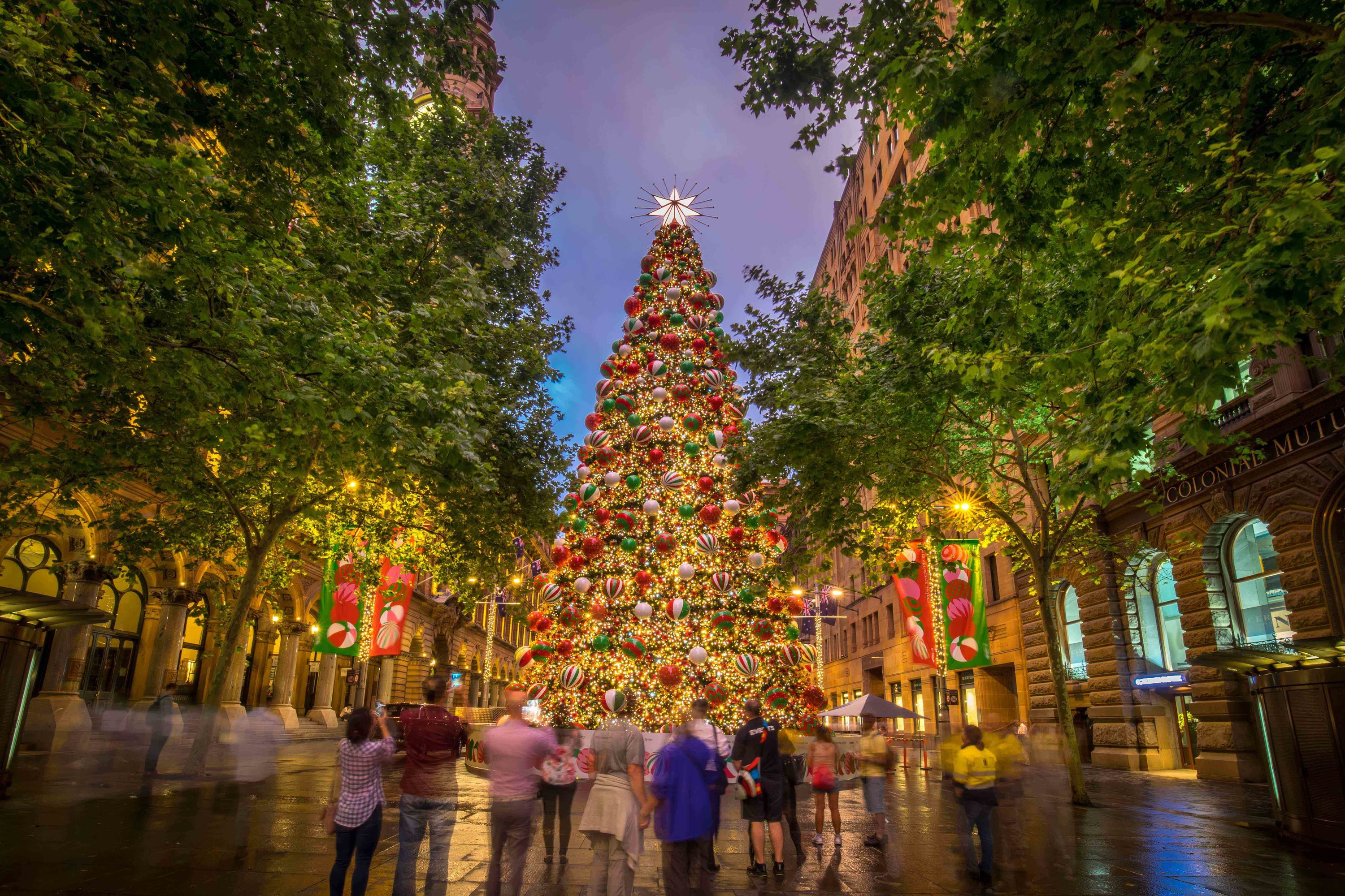 Best Sydney Streets To See Christmas Lights - 2018