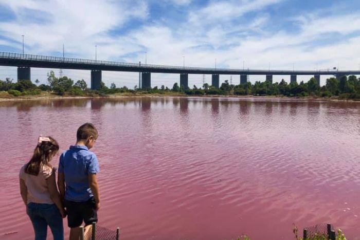 Melbourne lake is turning pink