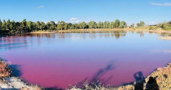Melbourne lake is turning pink