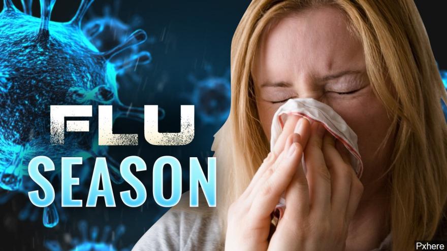 flu in australia 2019