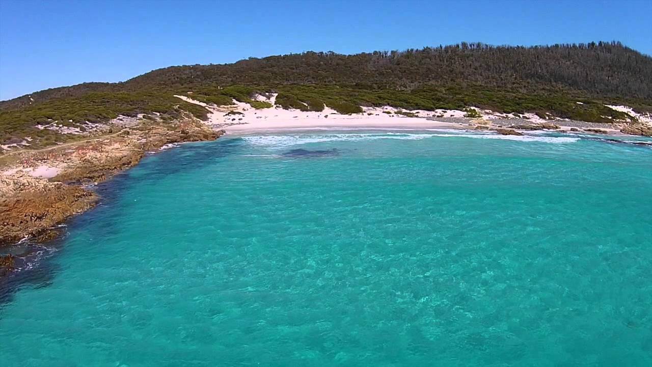 friendly beaches tasmania