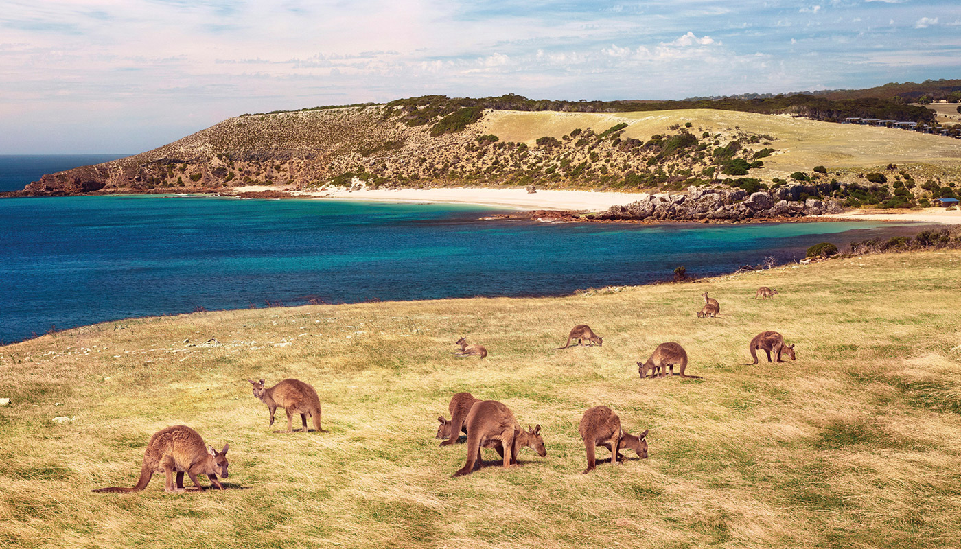 secret beaches to visit in Australia