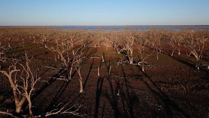 NSW drought drags on despite autumn rains