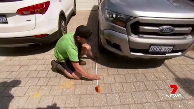 Man fined for parking over driveway too small to fit a car