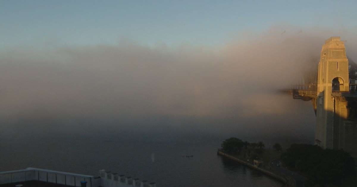 Sydney fog Airport delays