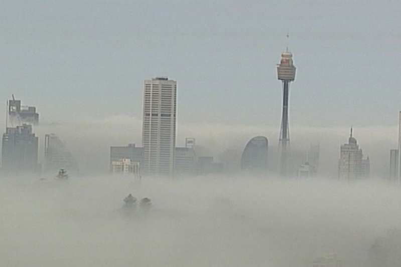 Sydney fog causes widespread flight delays for multiple airlines
