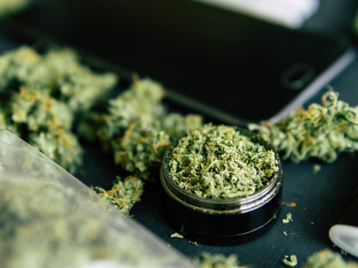 medicinal cannabis farm opens in WA