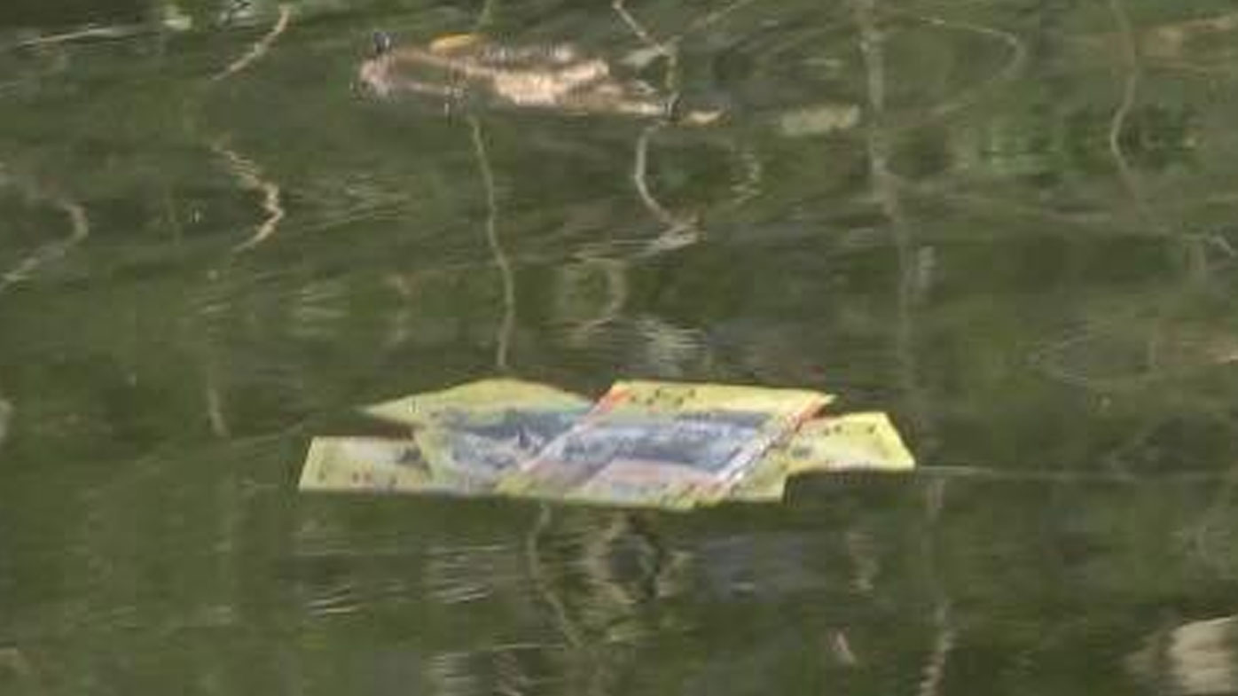 thousands of dollars floating down NSW creek