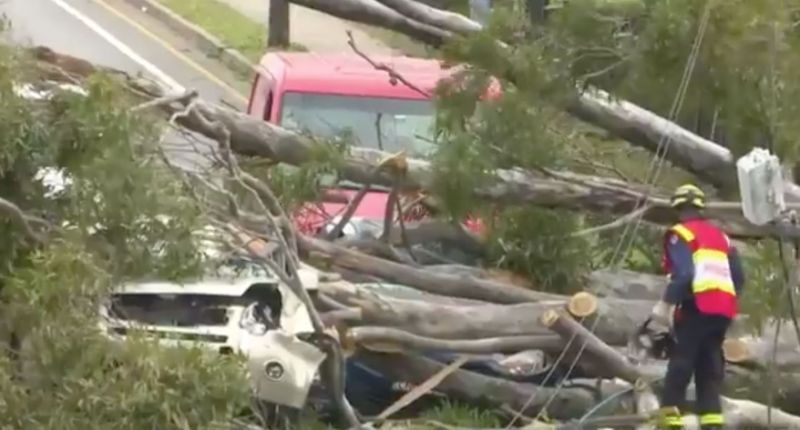 Cars trapped by falling tree as extreme winds and dust storms lash NSW
