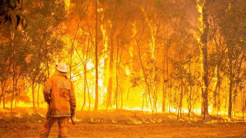 Qld bushfires linked to climate change