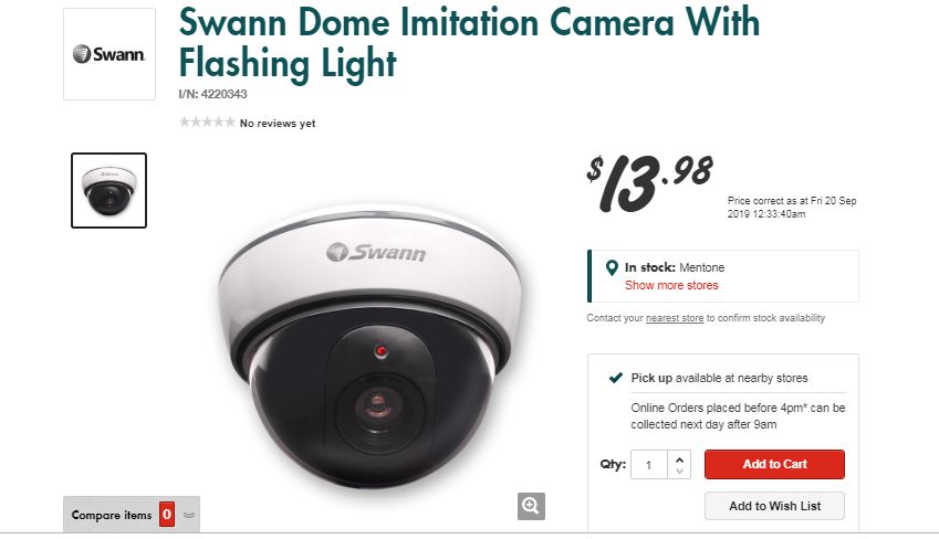 dummy dome camera from Bunnings