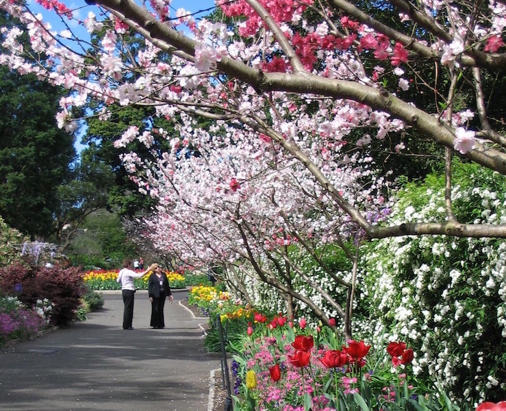 Royal Botanic Garden’s Spring Walk