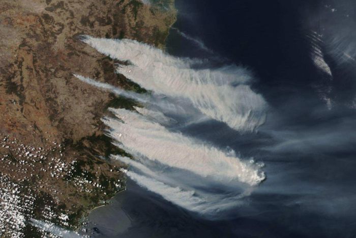 Khói cháy rừng có khi di chuyển hàng trăm km (Ảnh: NASA Earthdata)