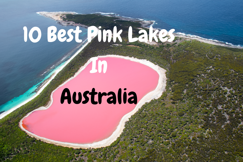 hồ nước hồng ở Úc