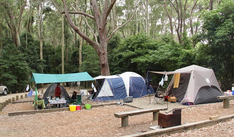 điểm cắm trại NSW