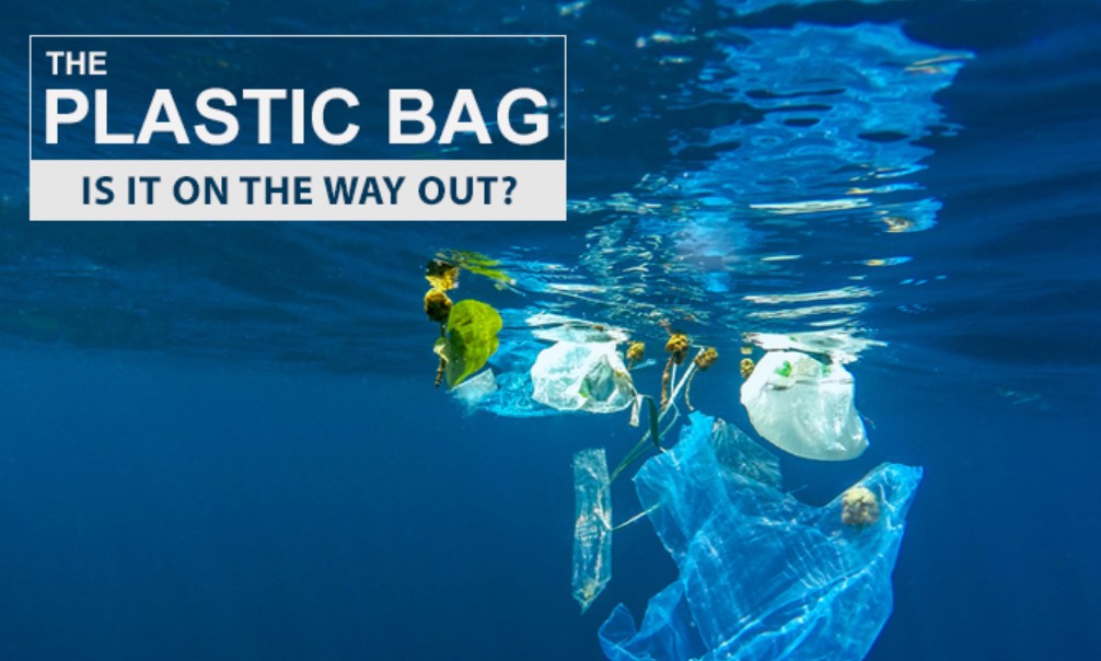 NSW cấm túi nhựa dùng một lầ