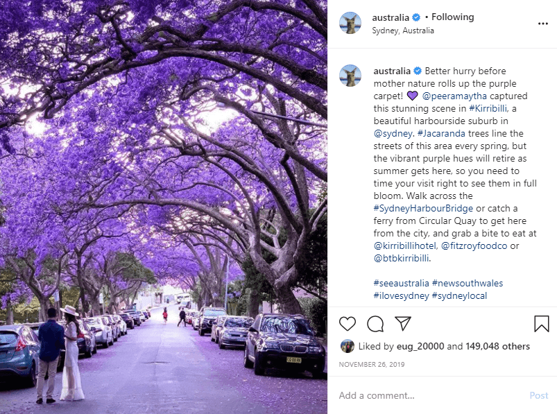 điểm ngắm hoa phượng tím Sydney