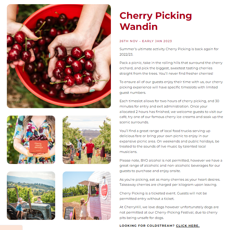 Cherry-Picking Festival