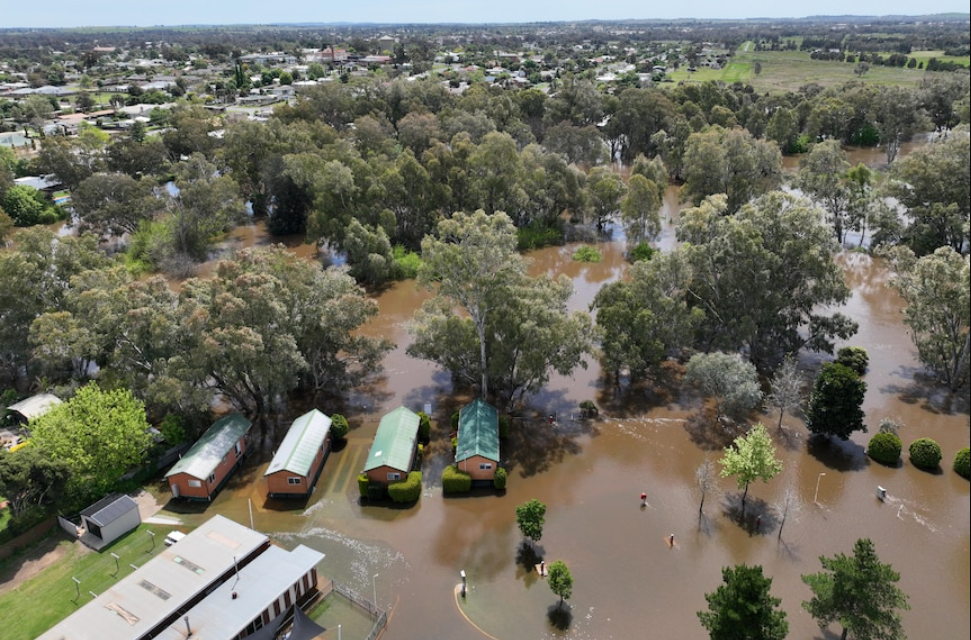 lũ lụt NSW