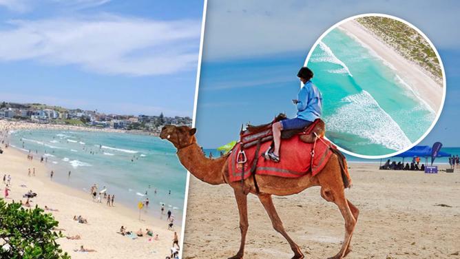 Úc sở hữu bãi biển lọt top 10 bãi biển tuyệt nhất thế giới 2023